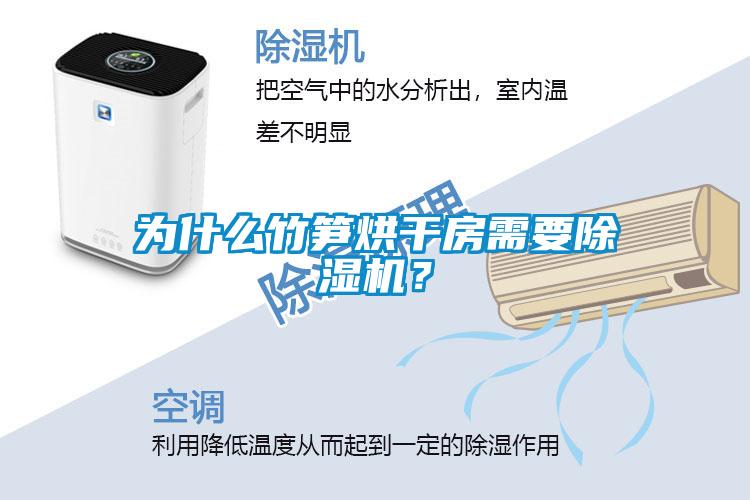 為什么竹筍烘干房需要除濕機？