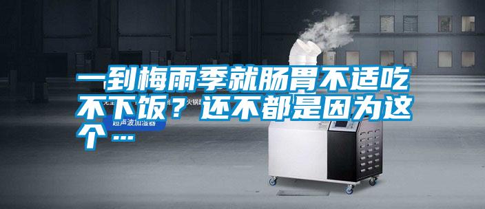 一到梅雨季就腸胃不適吃不下飯？還不都是因?yàn)檫@個(gè)…