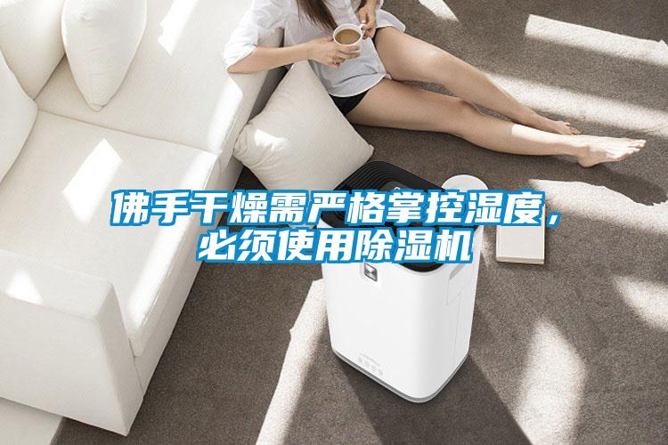 佛手干燥需嚴(yán)格掌控濕度，必須使用除濕機(jī)