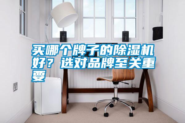 買哪個牌子的除濕機好？選對品牌至關(guān)重要