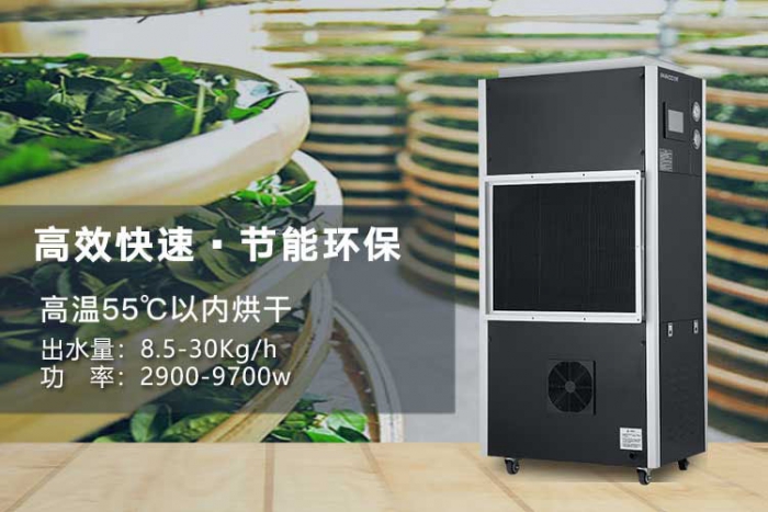 夏天來了，記得祛濕哦