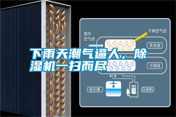 下雨天潮氣逼人，除濕機(jī)一掃而盡