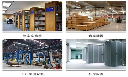 為什么竹筍烘干房需要除濕機(jī)？