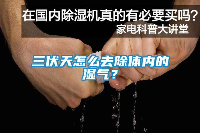 三伏天怎么去除體內(nèi)的濕氣？