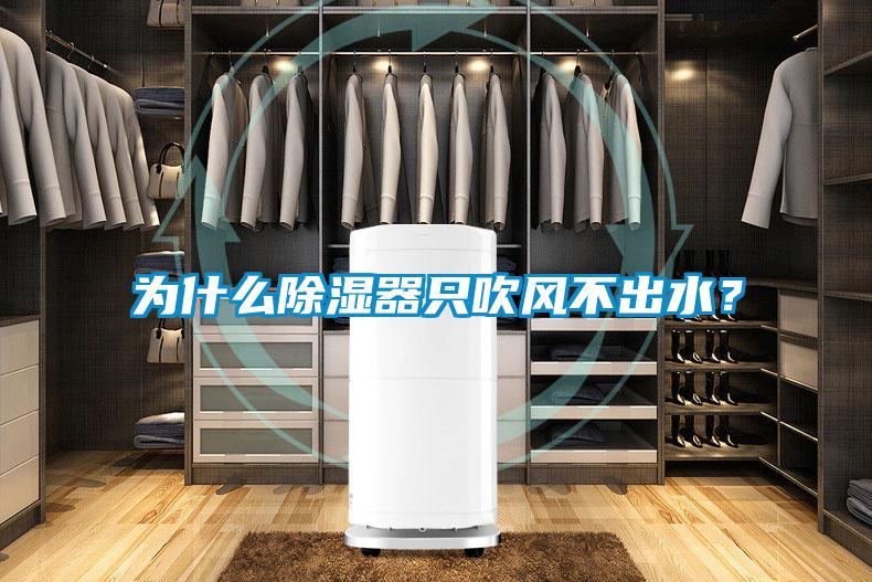 為什么除濕器只吹風(fēng)不出水？