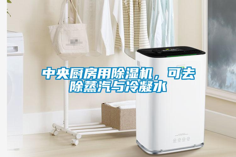 中央廚房用除濕機(jī)，可去除蒸汽與冷凝水