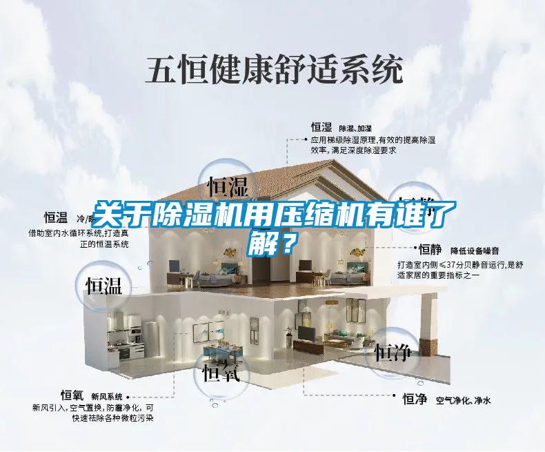 關(guān)于除濕機(jī)用壓縮機(jī)有誰(shuí)了解？