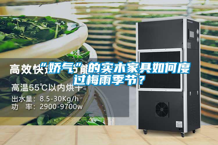 “嬌氣”的實(shí)木家具如何度過梅雨季節(jié)？
