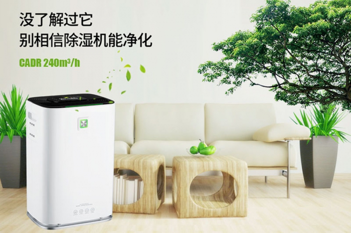 一到回南天狗狗就感冒+皮膚病，怎么辦？