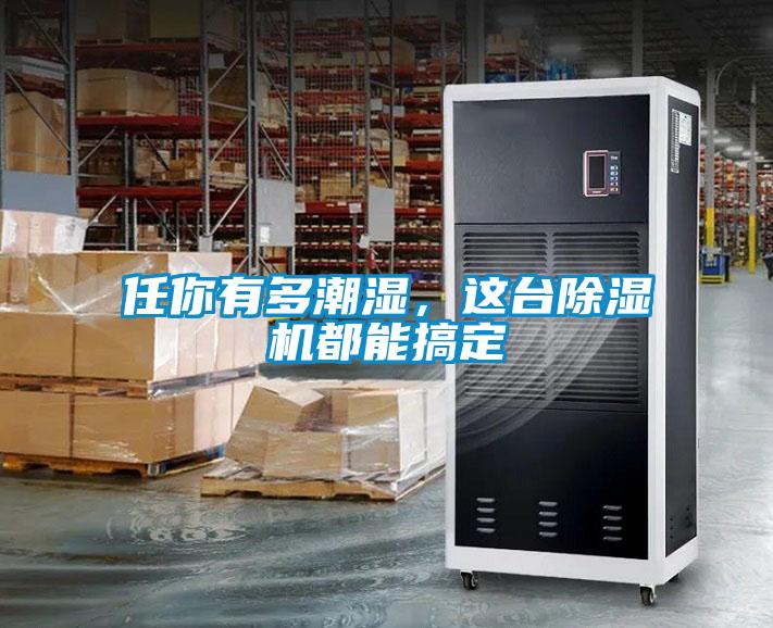 任你有多潮濕，這臺除濕機(jī)都能搞定