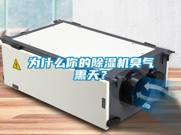 為什么你的除濕機臭氣熏天？