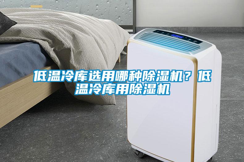 低溫冷庫(kù)選用哪種除濕機(jī)？低溫冷庫(kù)用除濕機(jī)
