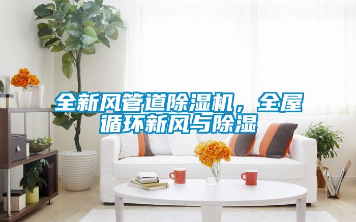 全新風(fēng)管道除濕機(jī)，全屋循環(huán)新風(fēng)與除濕