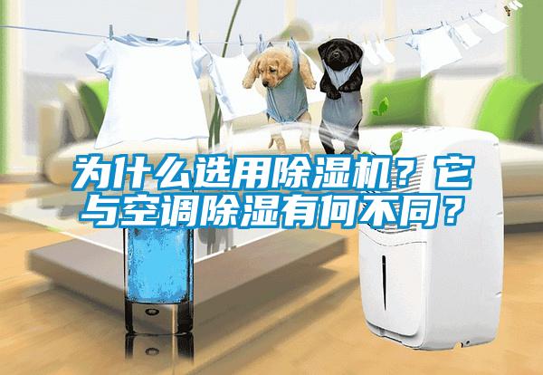 為什么選用除濕機(jī)？它與空調(diào)除濕有何不同？