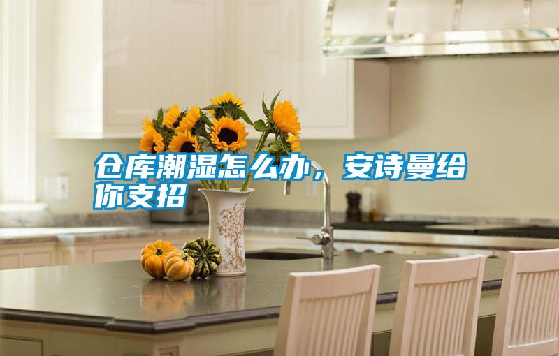 倉庫潮濕怎么辦，安詩曼給你支招