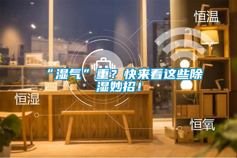 “濕氣”重？快來看這些除濕妙招！