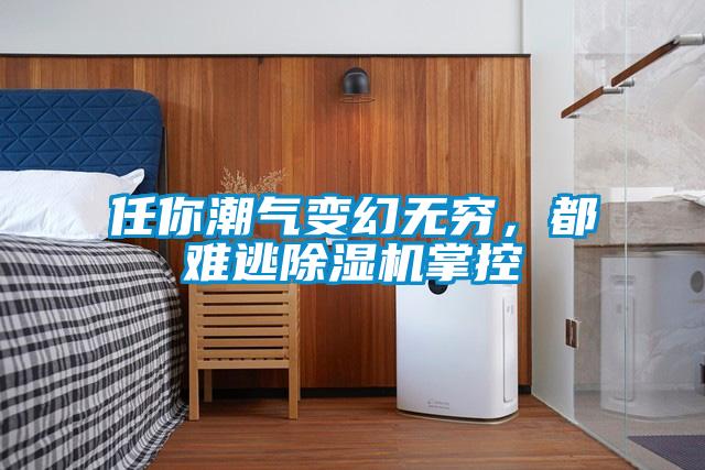 任你潮氣變幻無窮，都難逃除濕機掌控