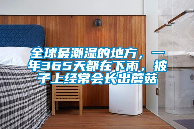 全球最潮濕的地方，一年365天都在下雨，被子上經(jīng)常會(huì)長(zhǎng)出蘑菇