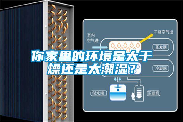 你家里的環(huán)境是太干燥還是太潮濕？