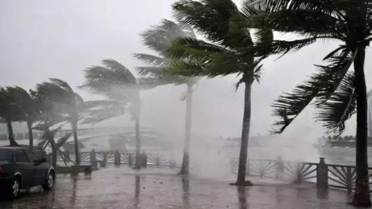 8月臺風(fēng)雨即將來，除濕機還得用起來