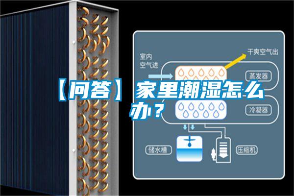 【問答】家里潮濕怎么辦？