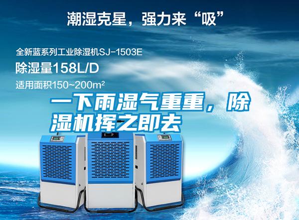 一下雨濕氣重重，除濕機(jī)揮之即去