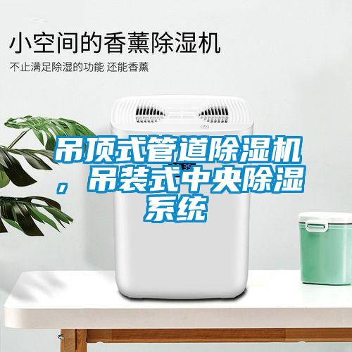 吊頂式管道除濕機(jī)，吊裝式中央除濕系統(tǒng)