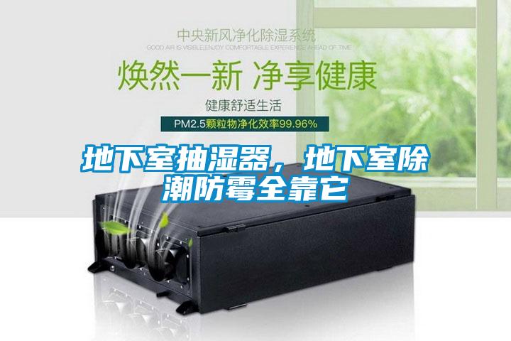 地下室抽濕器，地下室除潮防霉全靠它