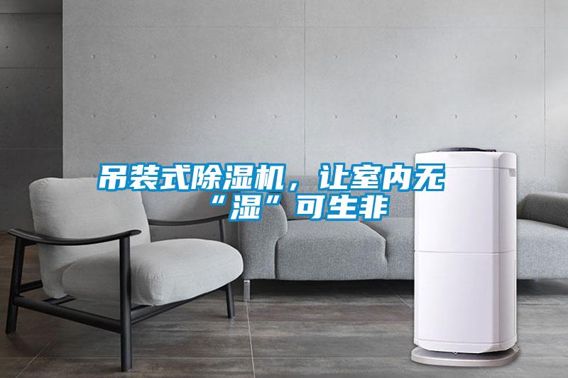 吊裝式除濕機(jī)，讓室內(nèi)無(wú)“濕”可生非