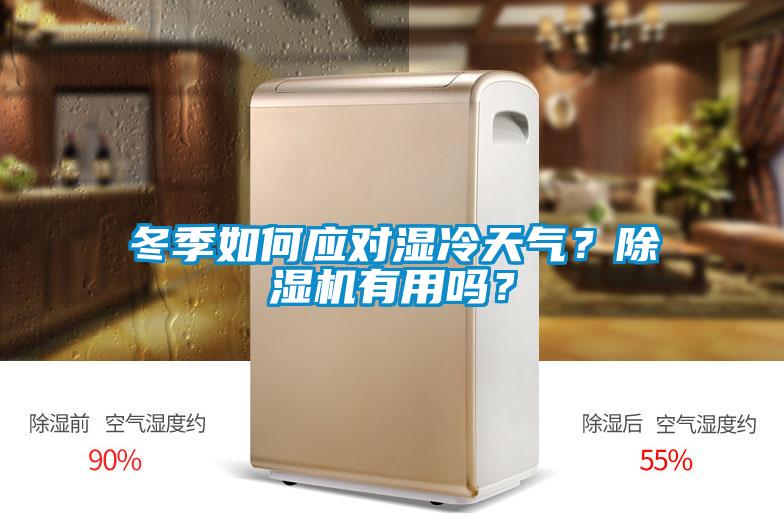 冬季如何應(yīng)對濕冷天氣？除濕機(jī)有用嗎？