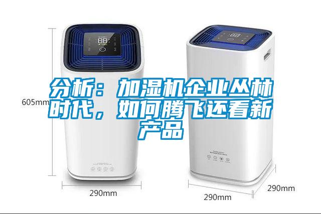 分析：加濕機(jī)企業(yè)叢林時代，如何騰飛還看新產(chǎn)品
