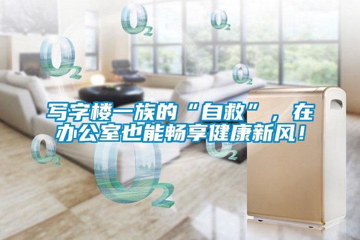 寫字樓一族的“自救”，在辦公室也能暢享健康新風！