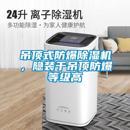吊頂式防爆除濕機(jī)，隱裝于吊頂防爆等級(jí)高