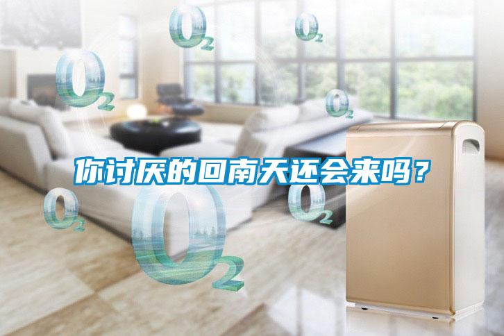 你討厭的回南天還會(huì)來(lái)嗎？