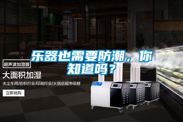樂器也需要防潮，你知道嗎？