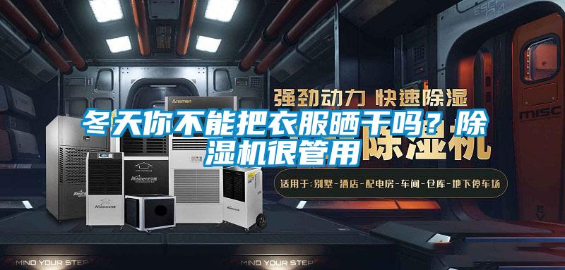 冬天你不能把衣服曬干嗎？除濕機(jī)很管用