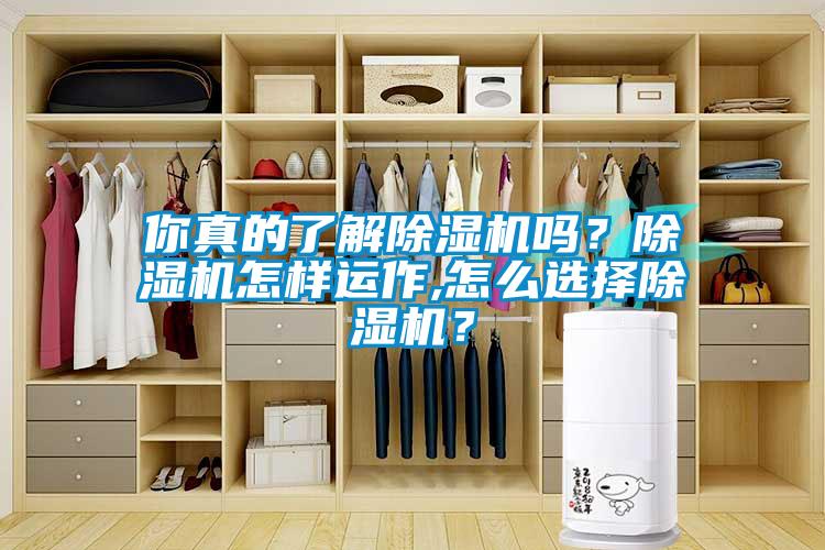 你真的了解除濕機(jī)嗎？除濕機(jī)怎樣運(yùn)作,怎么選擇除濕機(jī)？