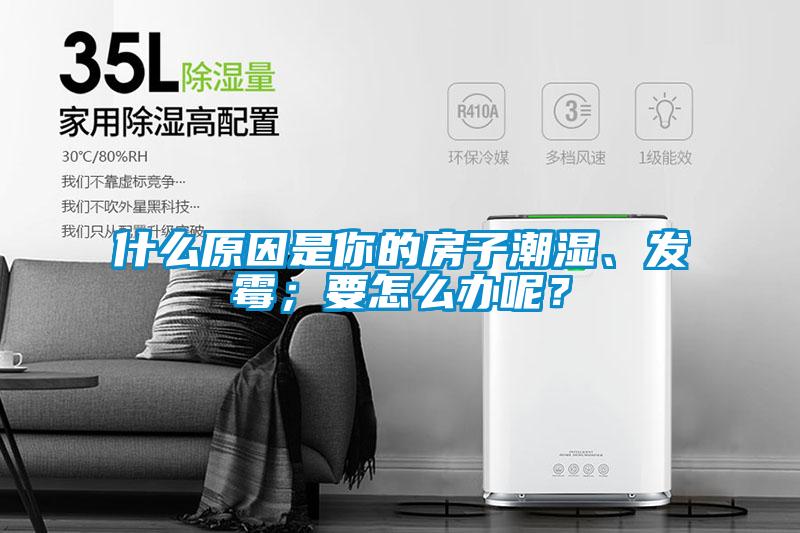 什么原因是你的房子潮濕、發(fā)霉；要怎么辦呢？