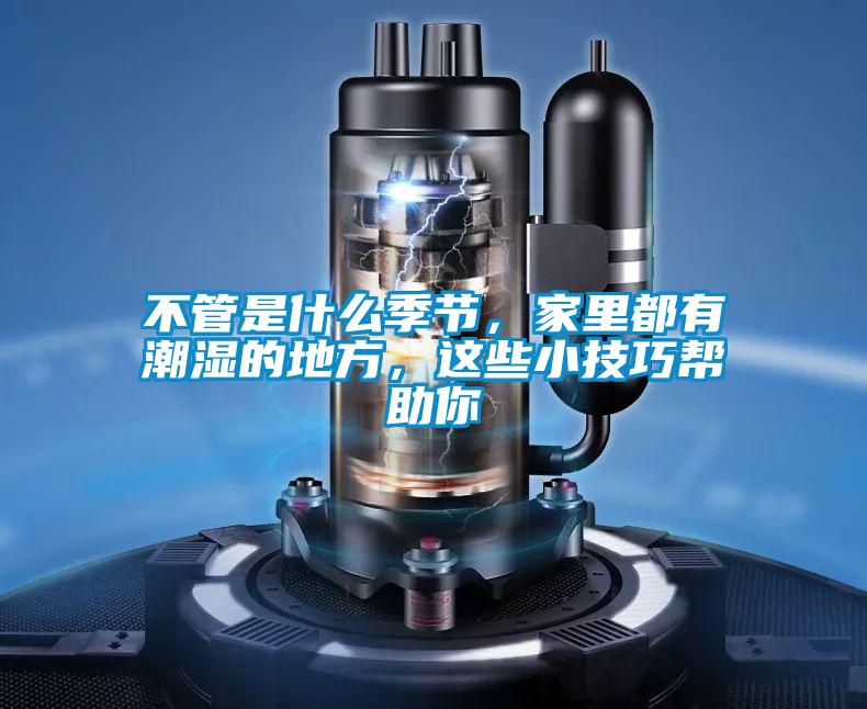 不管是什么季節(jié)，家里都有潮濕的地方，這些小技巧幫助你