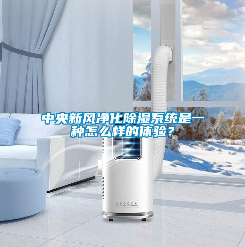 中央新風(fēng)凈化除濕系統(tǒng)是一種怎么樣的體驗？
