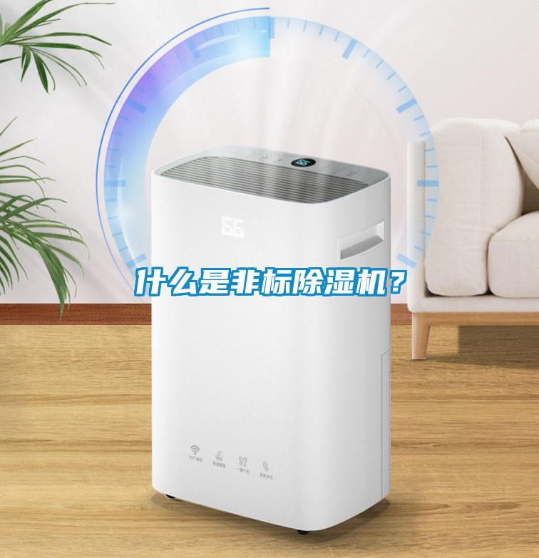 什么是非標(biāo)除濕機(jī)？