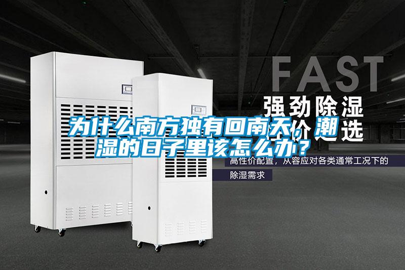 為什么南方獨(dú)有回南天，潮濕的日子里該怎么辦？