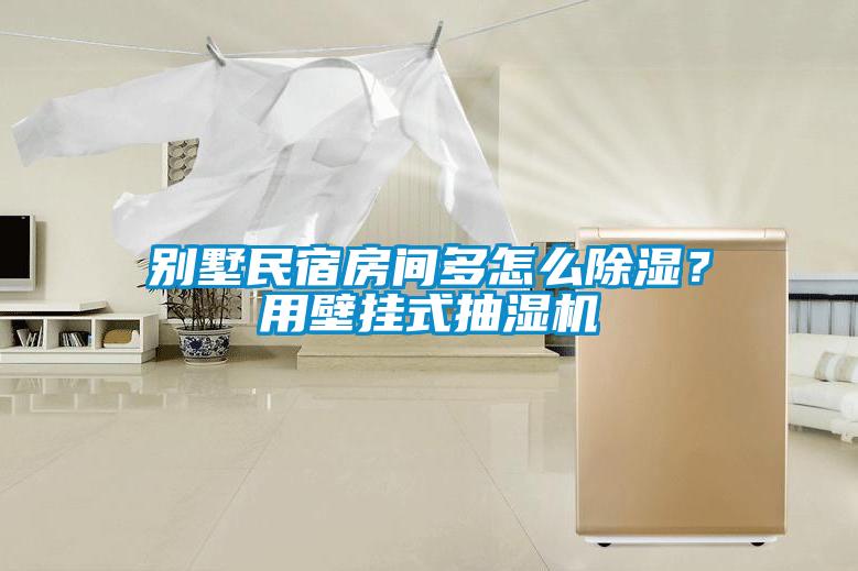 別墅民宿房間多怎么除濕？用壁掛式抽濕機