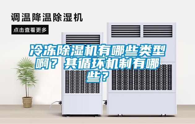 冷凍除濕機(jī)有哪些類型??？其循環(huán)機(jī)制有哪些？
