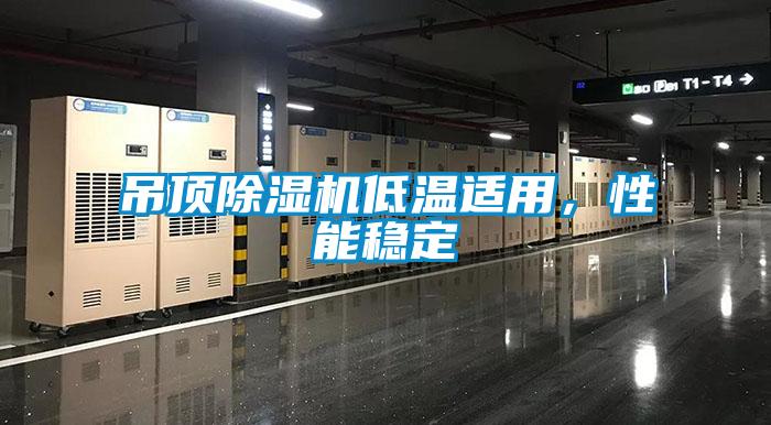 吊頂除濕機(jī)低溫適用，性能穩(wěn)定