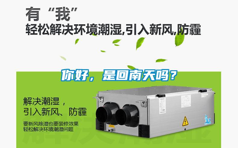 你好，是回南天嗎？