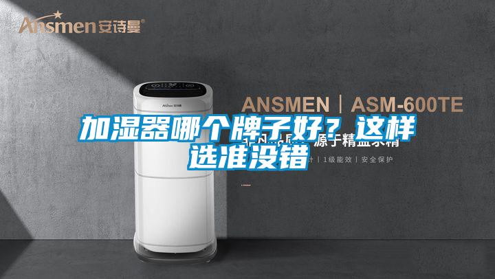 加濕器哪個牌子好？這樣選準(zhǔn)沒錯