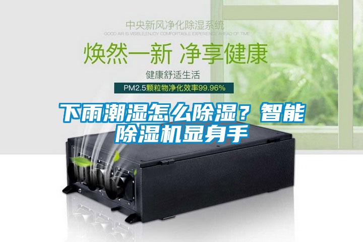 下雨潮濕怎么除濕？智能除濕機顯身手