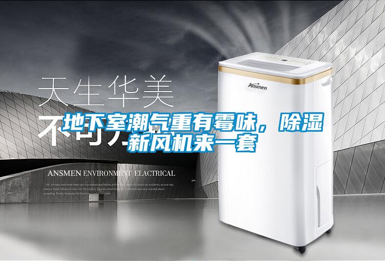 地下室潮氣重有霉味，除濕新風(fēng)機來一套
