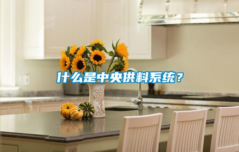 什么是中央供料系統(tǒng)？